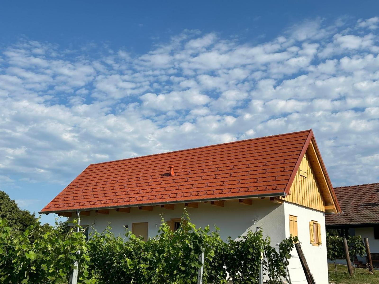 Modernes Kellerstoeckl Im Suedburgenland * Glasing