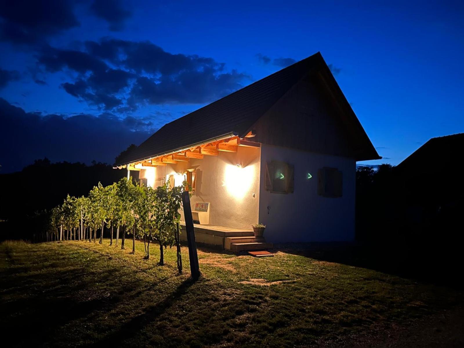 Modernes Kellerstoeckl Im Suedburgenland